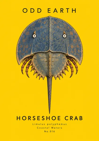 HORSESHOE CRAB — No.016 - OOD EARTH