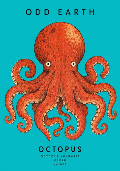 OCTOPUS — No.008 - OOD EARTH