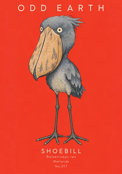 SHOEBILL — No.017 - OOD EARTH