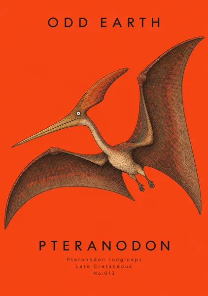 PTERANODON — No.013 - OOD EARTH