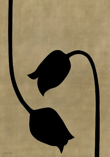 Tulips Black - Julita Elbe