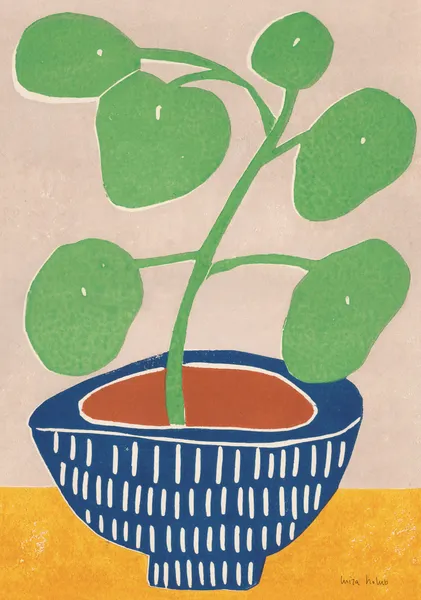 Pilea Plant - Luiza Holub