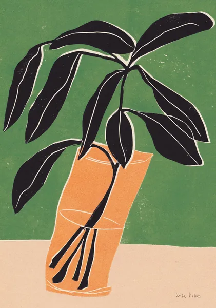 Magnolia - Luiza Holub