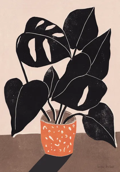 Monstera - Luiza Holub
