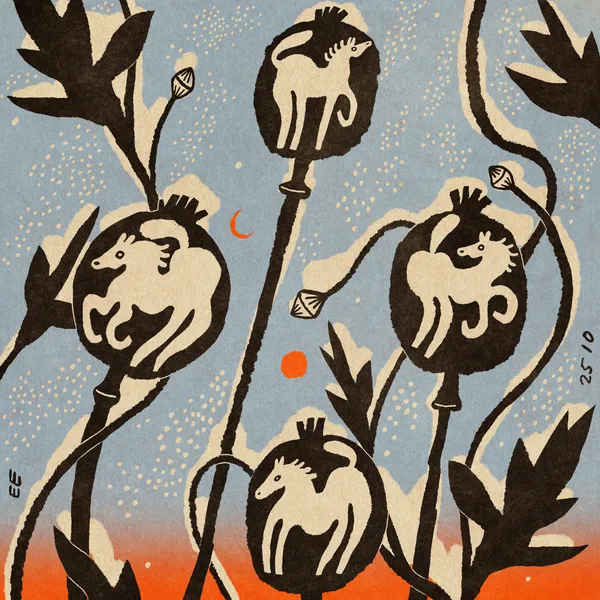 Winter Poppy - Enikő Eged