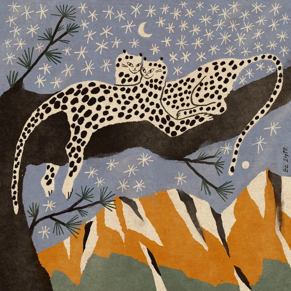Snow Leopards - Enikő Eged