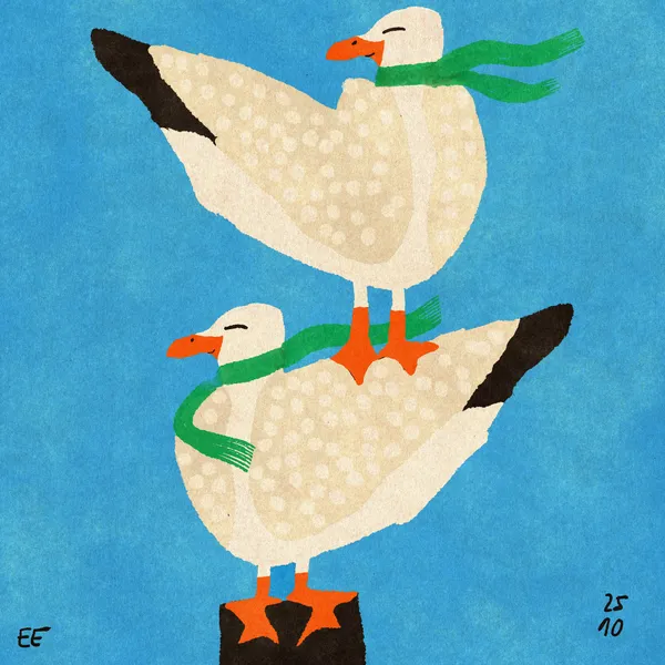 Seagull Couple - Enikő Eged