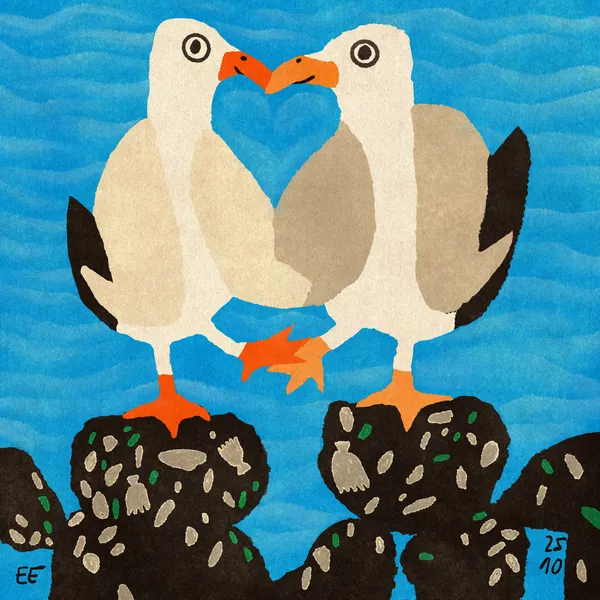 Seagull Love - Enikő Eged