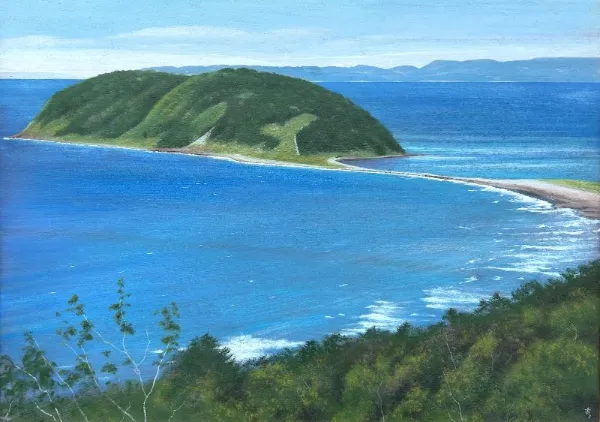 夏泊大島 - 森壽男