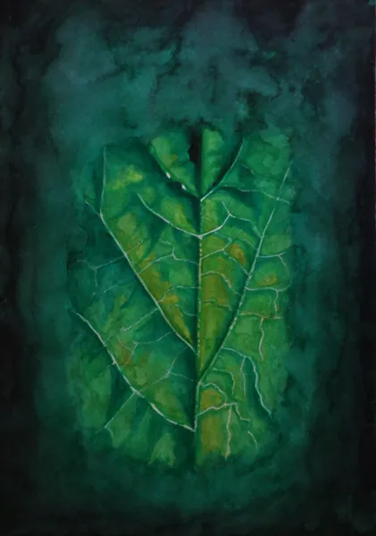 Leaf - Leigh