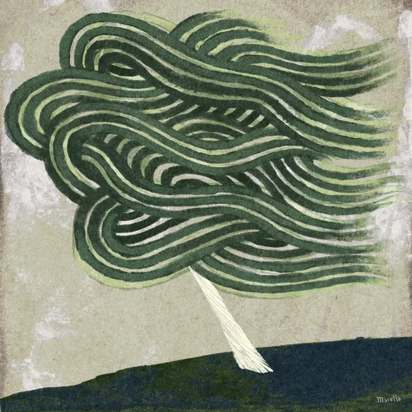 windy shore - marco marella