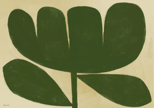 flower on white - marco marella