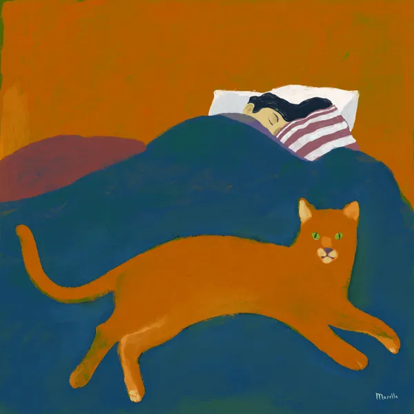 the red cat - marco marella