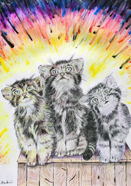 Manul_Triplets_limited - itsuki_painter