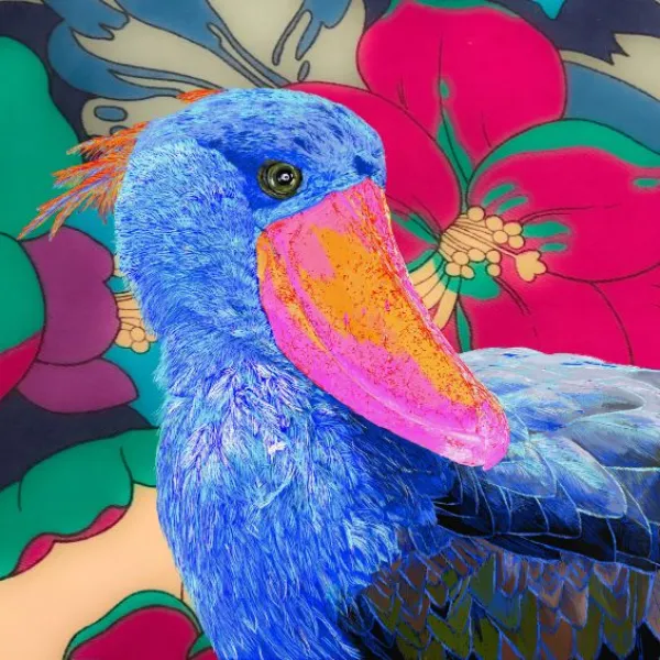 Shoebill_01 - itsuki_painter