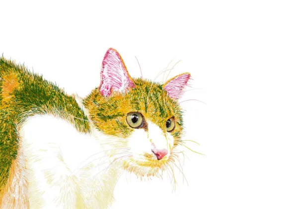 Cat_01 - itsuki_painter