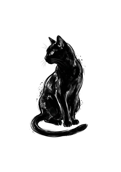 The Ink Cat - NOIR CANVAS