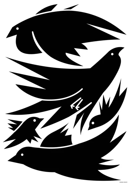 Blackbirds - Konrad Grafik
