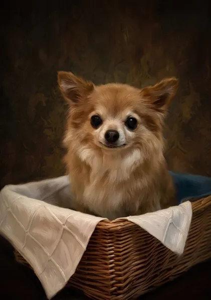 バスケットの小さな守護者（The Little Guardian of the Basket） - 薩摩あやかし
