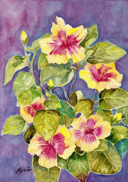 Chinese Hibiscus - Midori Cowart