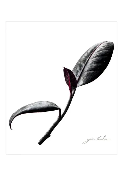 Stillness (Bordered) - Yoin Studio