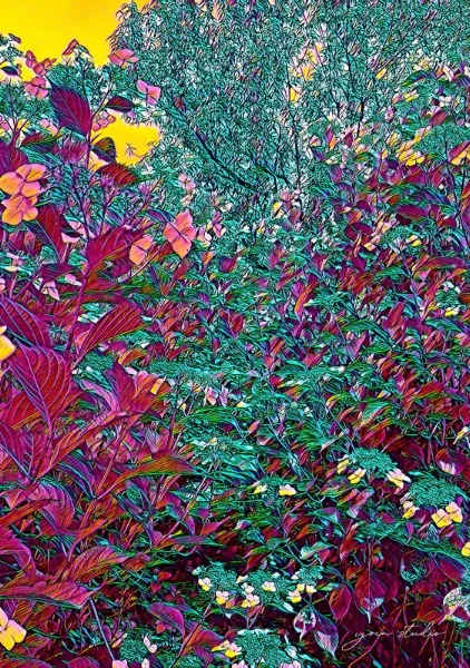 Liminal Garden - Yoin Studio