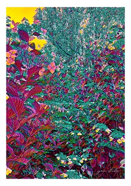 Liminal Garden (Bordered) - Yoin Studio