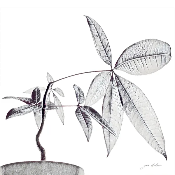 VEIL - Yoin Studio