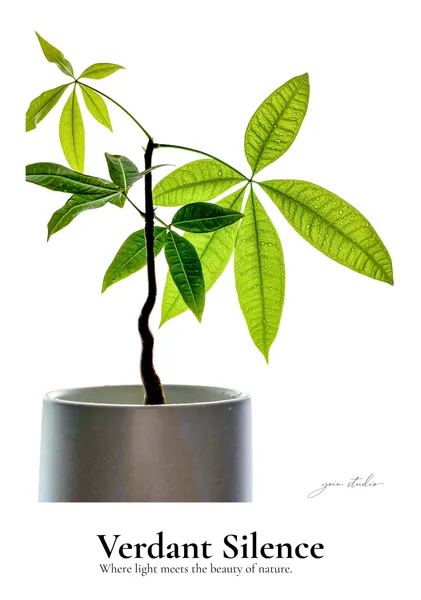 Verdant Silence - Yoin Studio