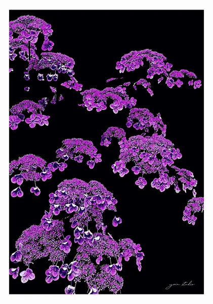 DRIFT Violet - Yoin Studio