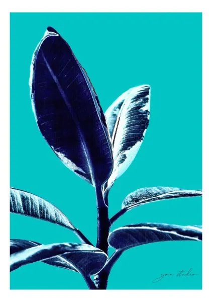 EMERGE (Bordered) - Yoin Studio