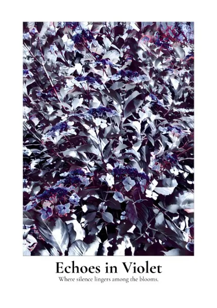 Echoes in Violet （Typography Edition） - Yoin Studio