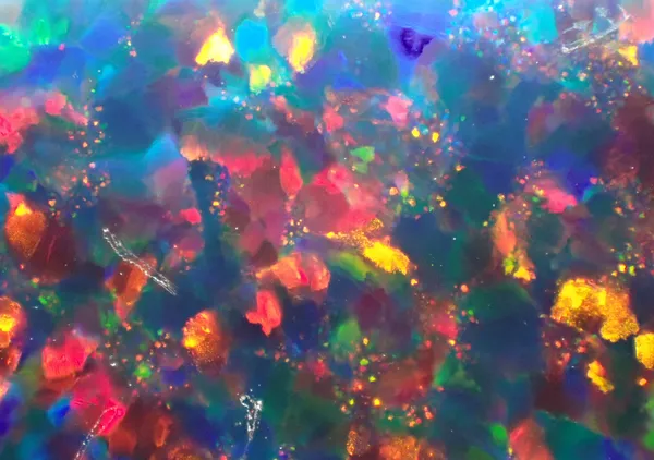 水中花 - にっち｜ジークレー版画プリント