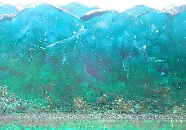 山と木が見える景色 - にっち
