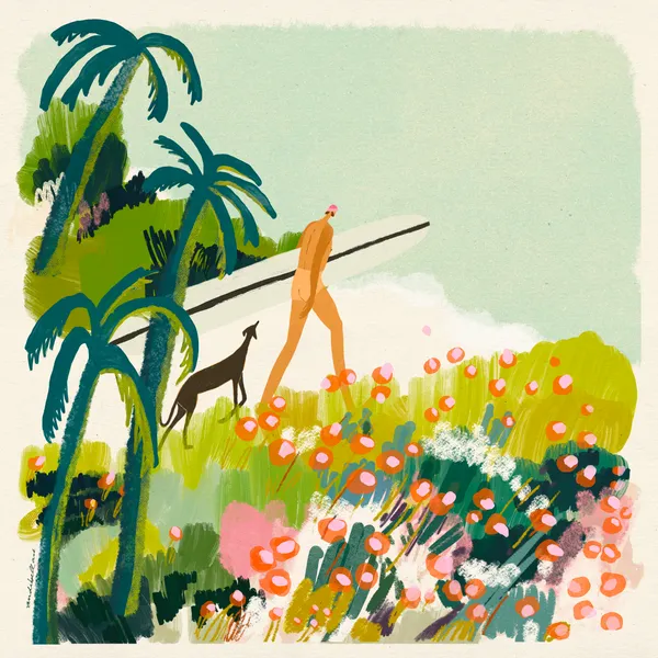 Where Summer Finds You - andi galandauer