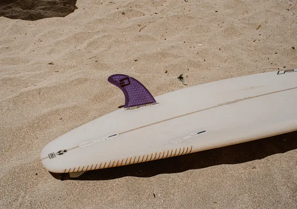 Board Surf - Florian Lefauconnier