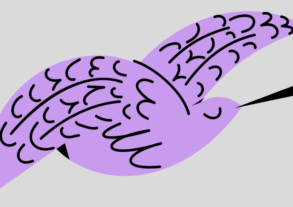 Portuguese lilac bird - Pablo Ferreira