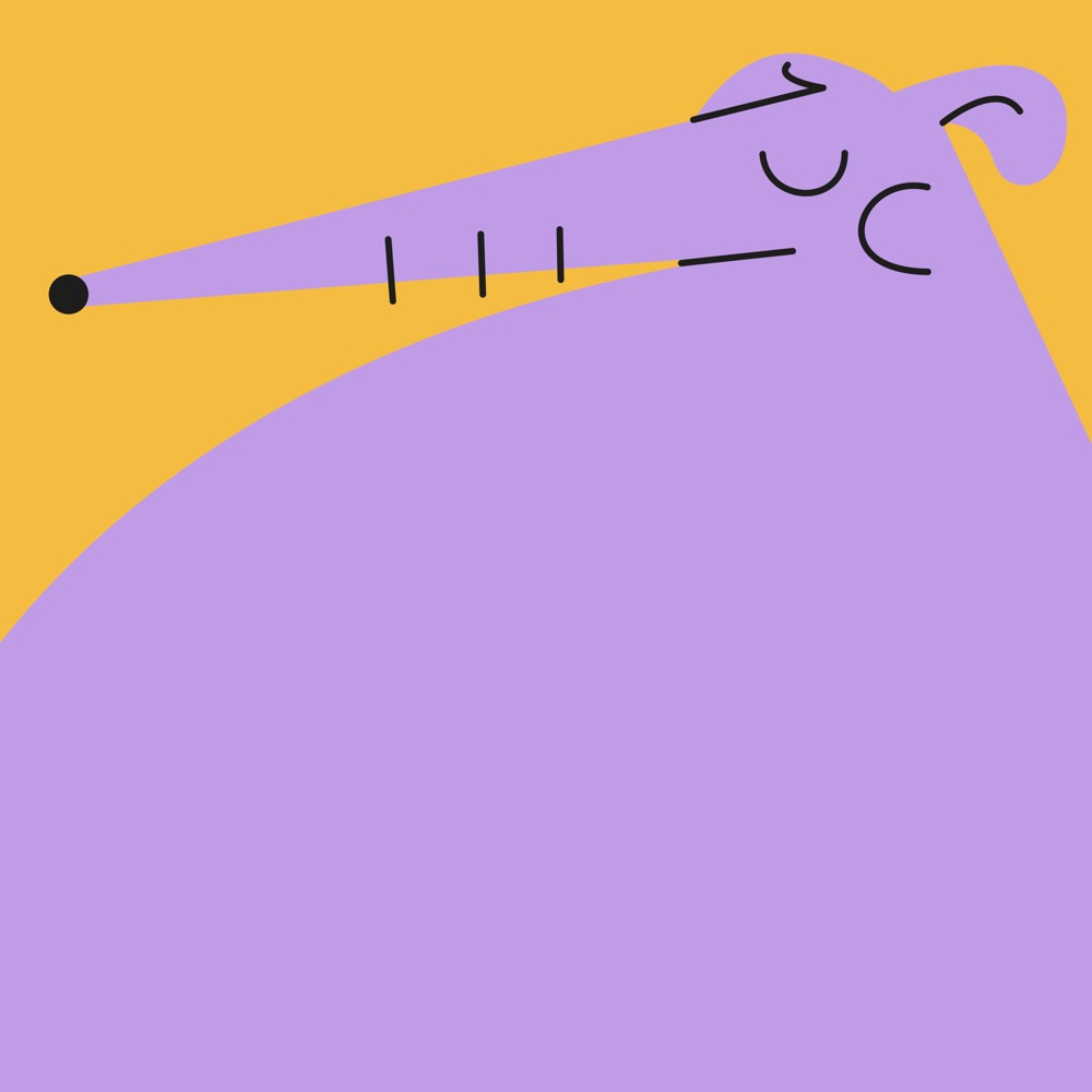 Calm dogs - Pablo Ferreira