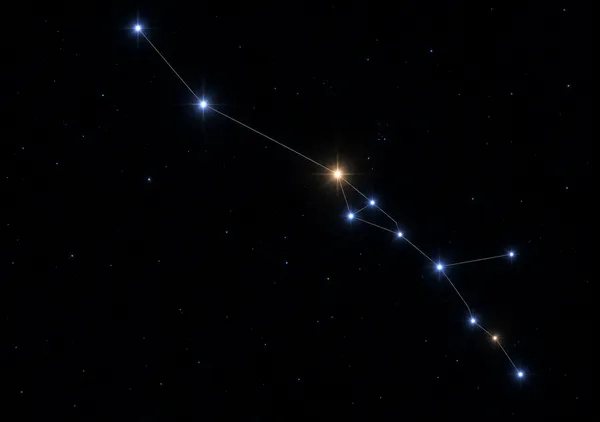 牡牛座（おうし座）　Taurus - kyoko oyama