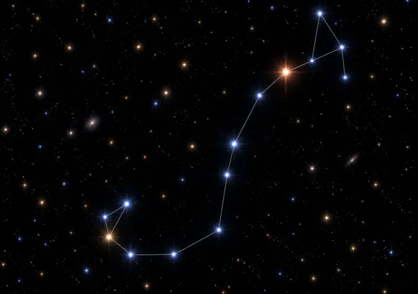 蠍座（さそり座）　Scorpius - kyoko oyama