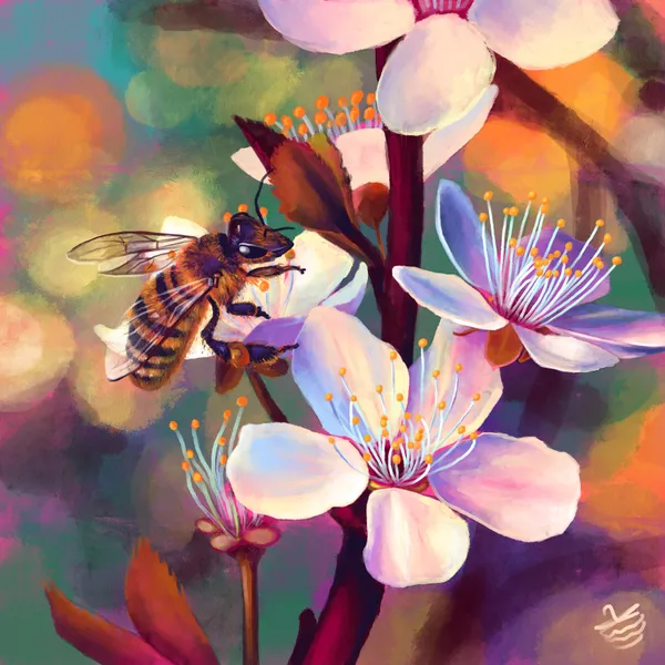 Bee and Blooms - Victoria Georgieva