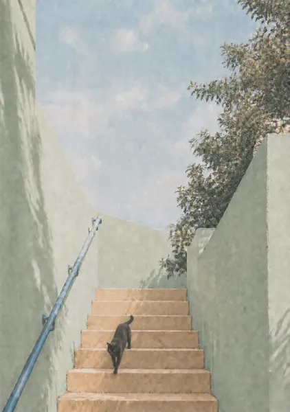 Quiet Steps - RIKU