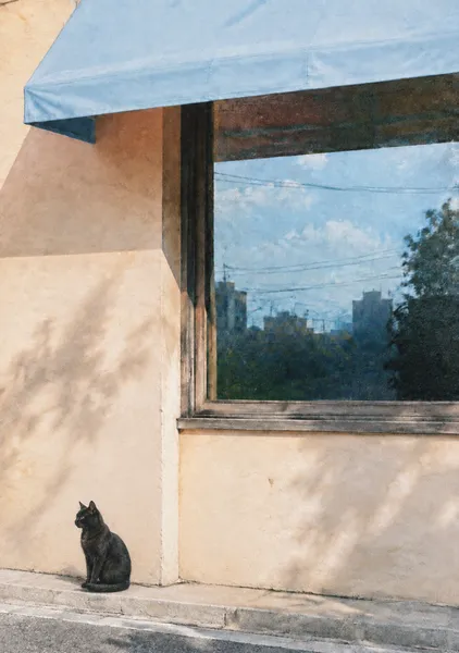 Quiet Corner - RIKU
