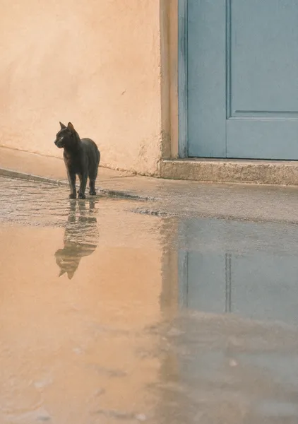 After Rain - RIKU