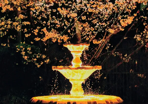 Golden Fountain Beneath the Blossoms - HT　PHOTO