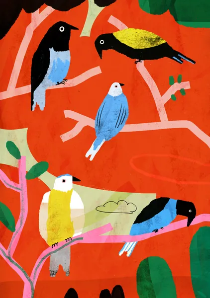 Birds on Red - MotMot