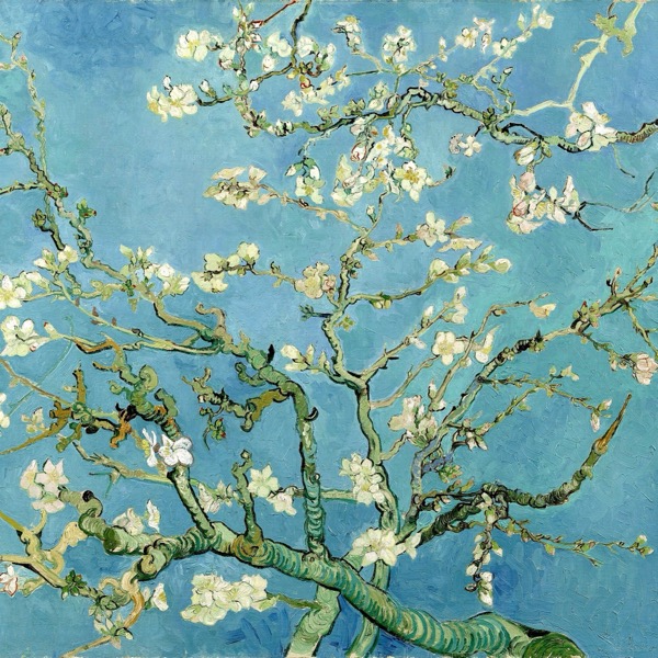 Almond Blossom - Vincent van Gogh