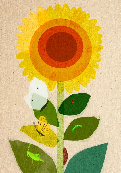 Biodiversity - Victoria Lucy Williams