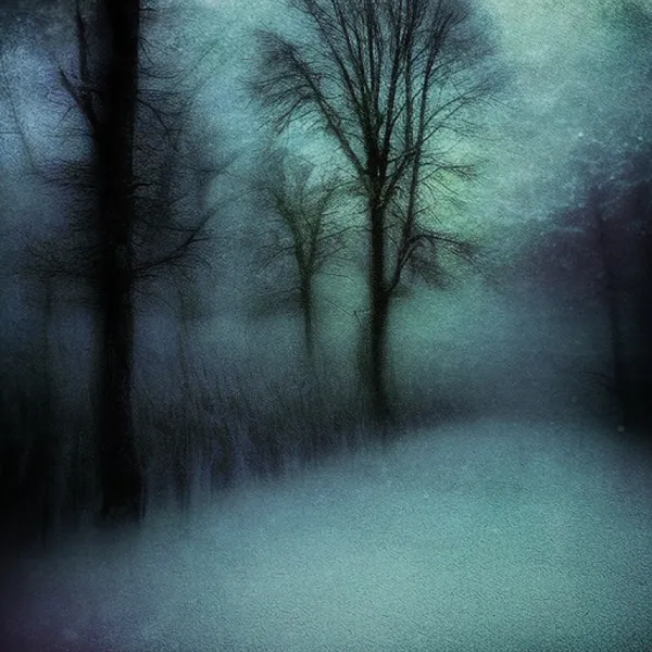 霜の森 | The Frost Forest | MIE #181 - Mystique In Enigma