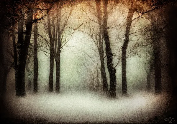 白い無言と夜の骨 | White Silence and the Bones of the Night | MIE #128 - Mystique In Enigma